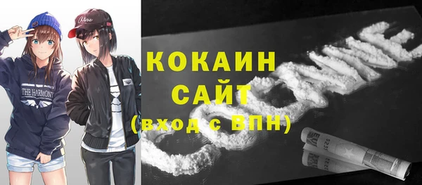 соль ск Козельск