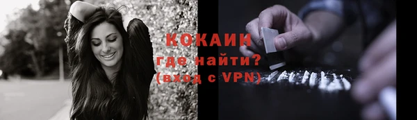 соль ск Козельск