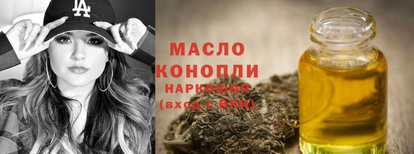 соль ск Козельск
